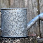 podlewanie-trawy-po-wysiewie-kluczowe-zasady-i-techniki-dla-pieknego-ogrodu